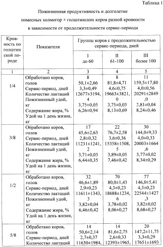 Способ воспроизводства высокопродуктивного стада коров (патент 2441371)