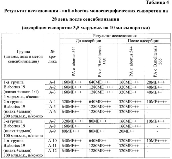 Способ получения бруцеллёзной моноспецифической сыворотки anti-abortus (патент 2639127)