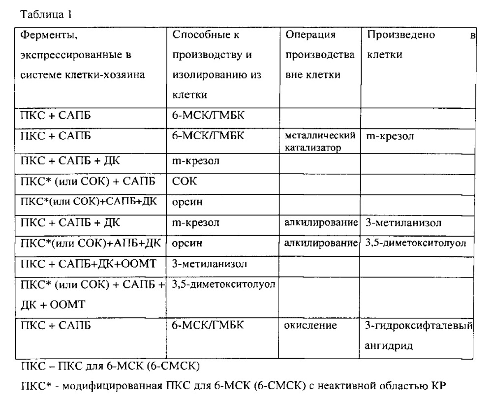 Рекомбинантная клетка для производства фенольного соединения и способ производства фенольного соединения (патент 2628097)