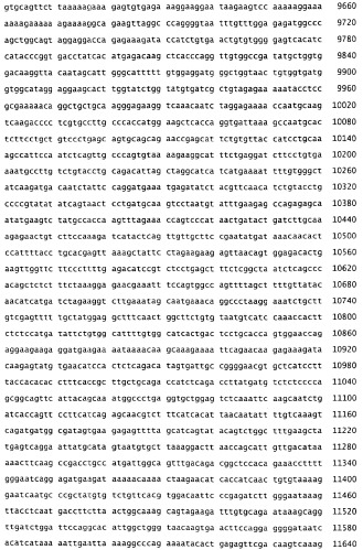 Применение s1p (патент 2362565)