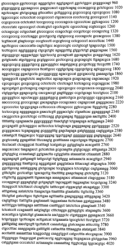 Модуляция экспрессии гентингтина (патент 2562861)