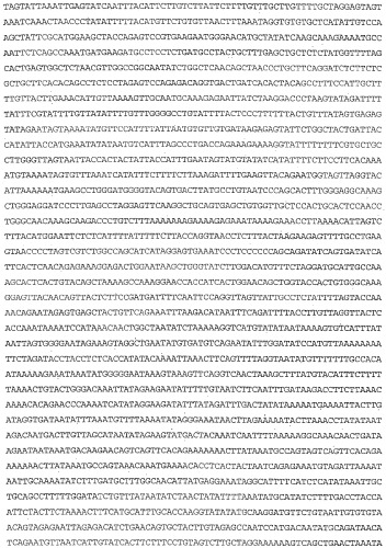 Применение s1p (патент 2362565)