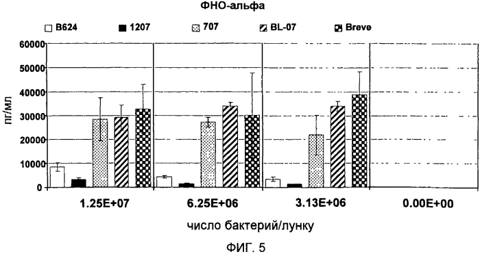 Пробиотическая бифидобактерия bifidobacterium longum (патент 2570557)