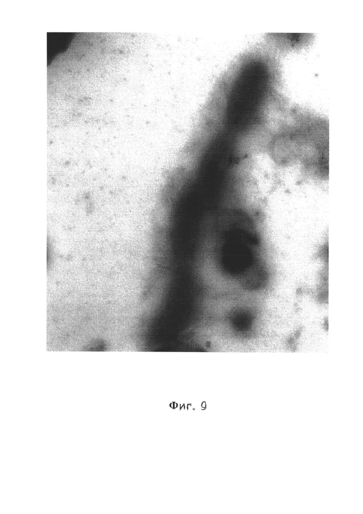 Способ получения образцов биоплёнок холерных вибрионов для исследования методом трансмиссионной электронной микроскопии (патент 2662938)