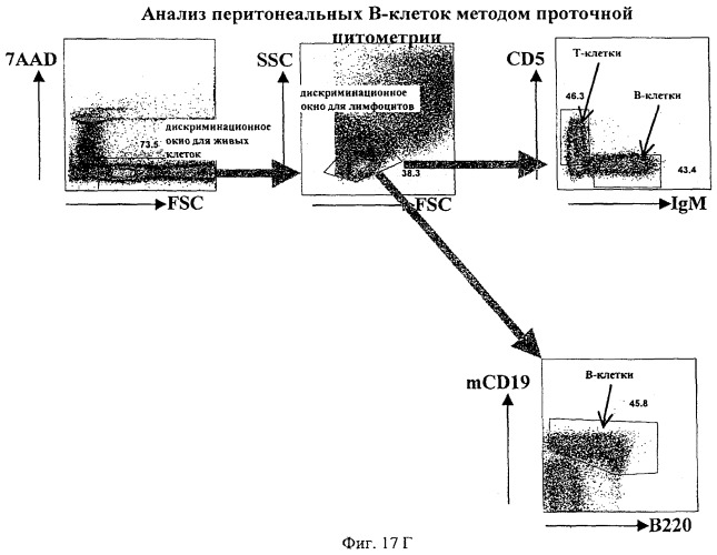 Гуманизированные антитела к cd19 и их применение для лечения онкологического, связанного с трансплантацией и аутоиммунного заболевания (патент 2495882)