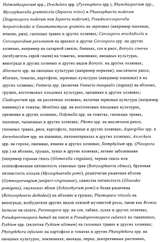 Хинолин-, изохинолин- и хиназолиноксиалкиламиды и их применение в качестве фунгицидов (патент 2327687)