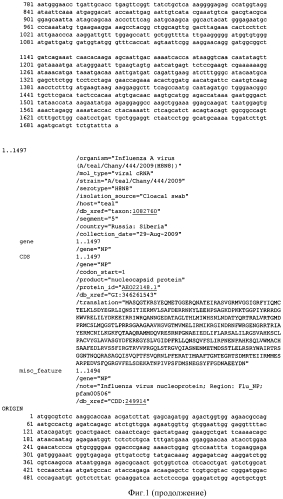 Штамм вируса гриппа a/teal/chany/444/09/ h8n8-субтипа для получения антигенсодержащего препарата, поликлональной сыворотки и применения в качестве контрольного референс-образца при оценке специфичности тест-систем на основе полимеразной цепной реакции (патент 2562856)