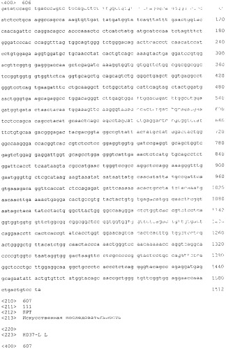 Pscaxcd3, cd19xcd3, c-metxcd3, эндосиалинxcd3, epcamxcd3, igf-1rxcd3 или fap-альфаxcd3 биспецифическое одноцепочечное антитело с межвидовой специфичностью (патент 2547600)