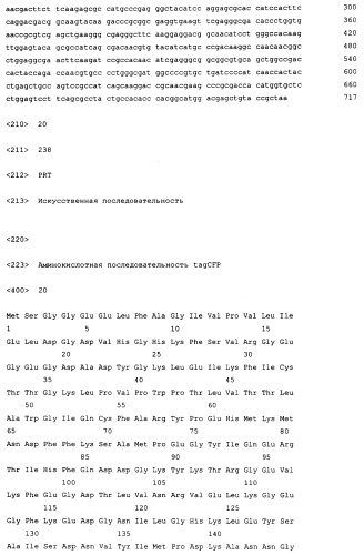 Модифицированные зеленые флуоресцентные белки и способы их использования (патент 2412250)