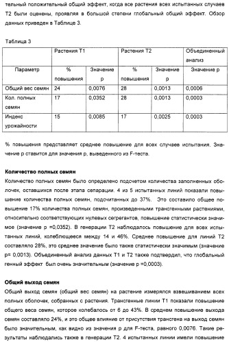 Способ повышения выхода семян растения, способ производства трансгенного растения, имеющего повышенную урожайность семян, генная конструкция для экспрессии в растении и трансгенное растение (патент 2409938)