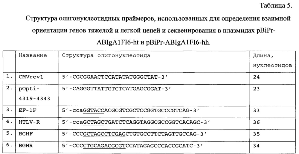 Рекомбинантная плазмидная днк pbipr-abiga1fi6-intht для получения рекомбинантного иммуноглобулина а изотипа iga1 (патент 2664184)