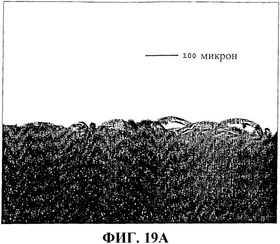 Застежки на основе пеноматериала (патент 2376915)