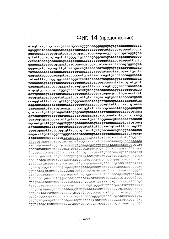 Рекомбинантные векторы hvt, экспрессирующие антигены патогенов птиц и их применение (патент 2620936)