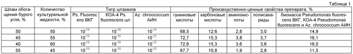 Способ получения биопрепарата для очистки и восстановления плодородия почвогрунтов, загрязненных нефтепродуктами (патент 2529735)