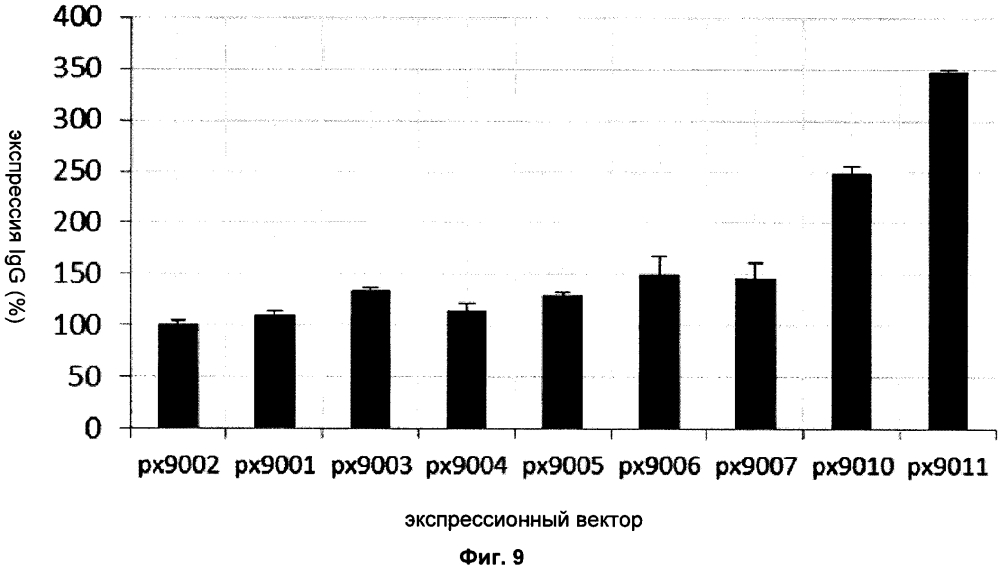 Строение экспрессионного вектора, новые способы получения клеток-продуцентов и их применение для рекомбинантного получения полипептидов (патент 2628703)