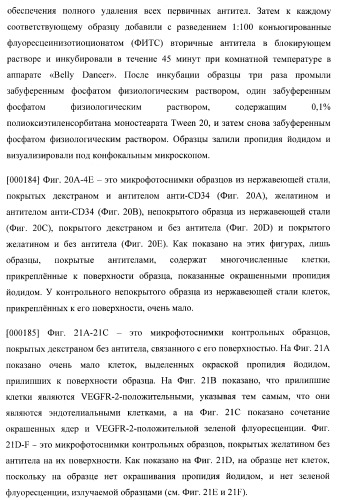 Захват эндотелиальных клеток-предшественников элюирующим лекарственные средства имплантируемым медицинским устройством (патент 2400256)