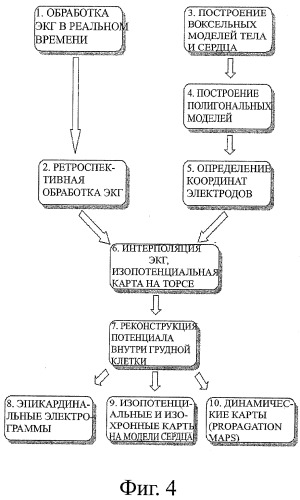 Способ неинвазивного электрофизиологического исследования сердца (патент 2417051)