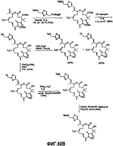 Синтез эпотилонов, их промежуточных продуктов, аналогов и их применения (патент 2462463)