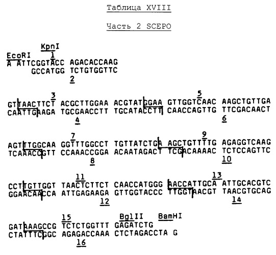 Выделенная молекула днк, кодирующая эритропоэтин человека, (варианты), экспрессирующий плазмидный или вирусный днк-вектор, гликопротеид эритропоэтин (варианты) и способ его получения, фармацевтическая композиция (варианты), линия клеток млекопитающего (варианты) (патент 2261276)