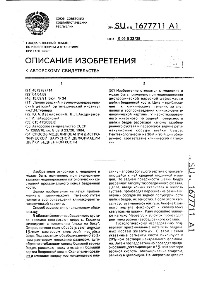 Способ моделирования дистрофической варусной деформации шейки бедренной кости (патент 1677711)