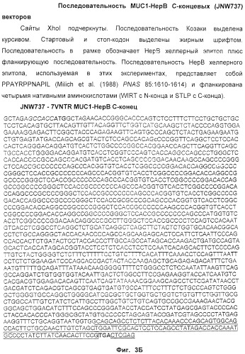 Способ усиления иммунного ответа млекопитающего на антиген (патент 2370537)