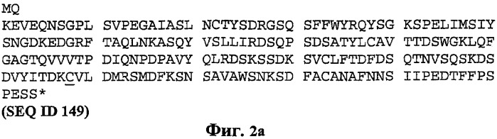 Экспонирование т-клеточных рецепторов (патент 2346004)