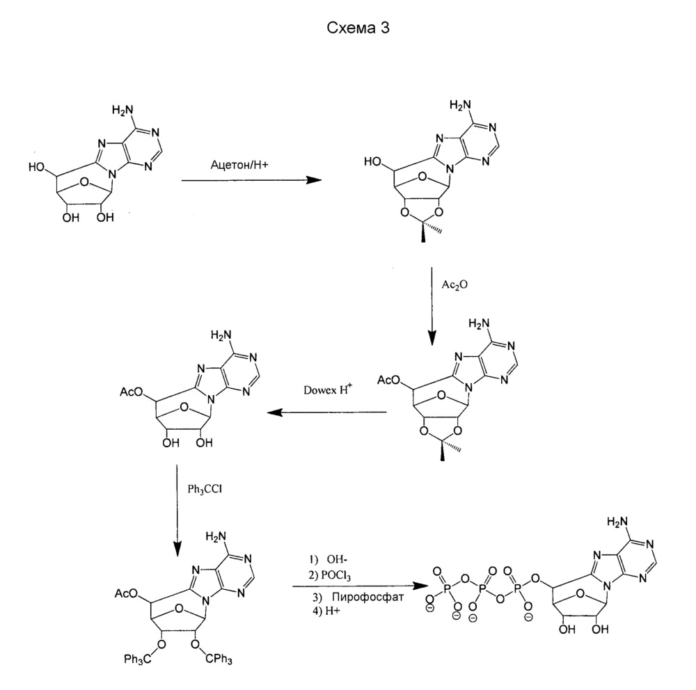 Модифицированные нуклеозиды, нуклеотиды и нуклеиновые кислоты и их применение (патент 2648950)