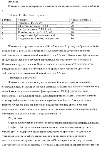 Стабилизированные антитела против ангиопоэтина-2 и их применение (патент 2509085)