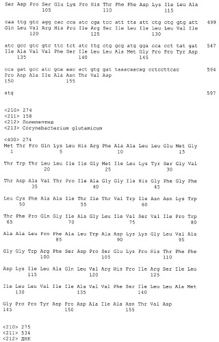 Гены corynebacterium glutamicum, кодирующие белки резистентности и толерантности к стрессам (патент 2303635)