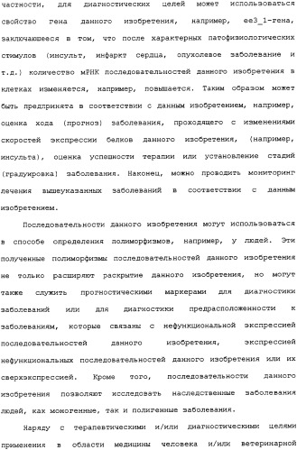 Ее3-семейство белков и соответствующие днк-последовательности (патент 2333918)