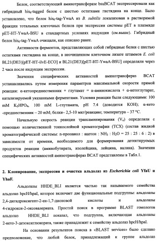 Способ производства 4-гидрокси-l-изолейцина или его соли (патент 2355767)