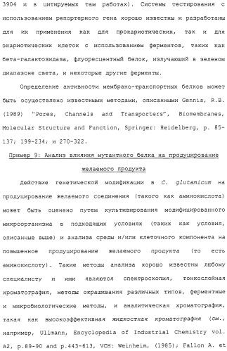 Гены corynebacterium glutamicum, кодирующие белки метаболических путей (патент 2306339)