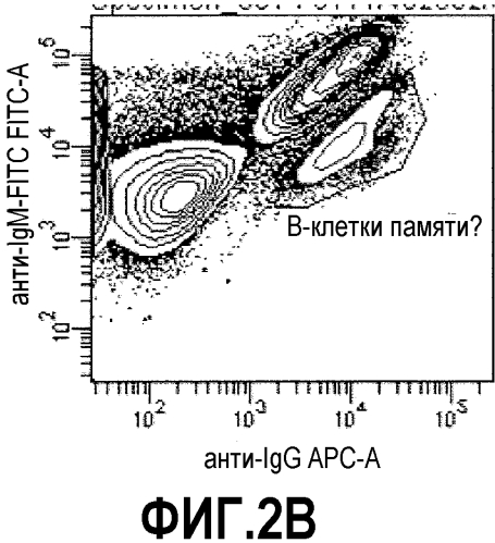 Способ идентификации иммунных связывающих веществ поверхностных антигенов клетки (патент 2577965)