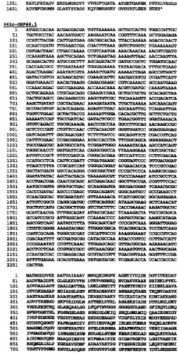 Гетерологичная экспрессия белков neisseria (патент 2299906)