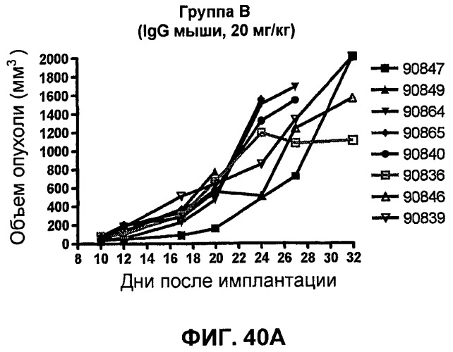 Моноклональные антитела человека к белку программируемой смерти 1 (pd-1) и способы лечения рака с использованием анти-pd-1-антител самостоятельно или в комбинации с другими иммунотерапевтическими средствами (патент 2494107)