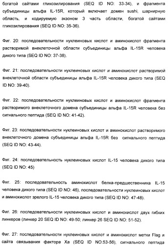 Соединение, предназначенное для стимуляции пути передачи сигнала через il-15rбета/гамма, с целью индуцировать и/или стимулировать активацию и/или пролиферацию il-15rбета/гамма-положительных клеток, таких как nk-и/или t-клетки, нуклеиновая кислота, кодирующая соединение, вектор экспрессии, клетка-хозяин, адъювант для иммунотерапевтической композиции, фармацевтическая композиция и лекарственное средство для лечения состояния или заболевания, при котором желательно повышение активности il-15, способ in vitro индукции и/или стимуляции пролиферации и/или активации il-15rбета/гамма-положительных клеток и способ получения in vitro активированных nk-и/или t-клеток (патент 2454463)