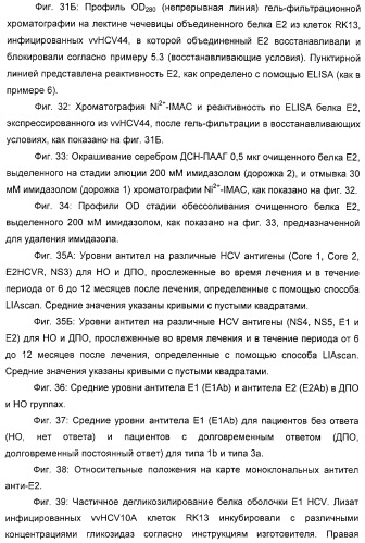 Очищенные белки оболочки вируса гепатита с для диагностического и терапевтического применения (патент 2313363)