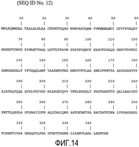 Способ (патент 2376868)