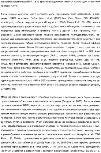 Способ повышения выхода семян растения, способ производства трансгенного растения, имеющего повышенную урожайность семян, генная конструкция для экспрессии в растении и трансгенное растение (патент 2409938)