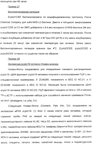 Выделенный полипептид, обладающий антивирусной активностью (варианты), кодирующий его полинуклеотид (варианты), экспрессирующий вектор, рекомбинантная клетка-хозяин, способ получения полипептида, антитело, специфичное к полипептиду, и фармацевтическая композиция, содержащая полипептид (патент 2321594)