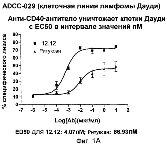 Применение анти-cd40-антител (патент 2442606)