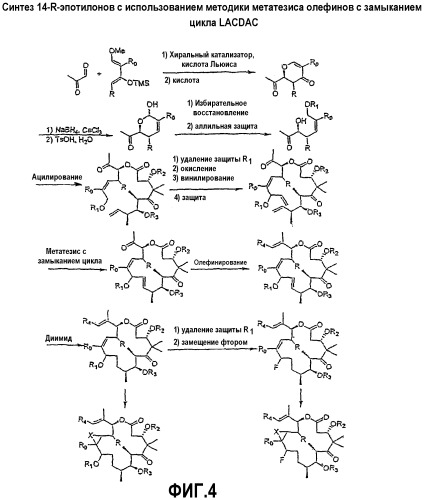 Синтез эпотилонов, их промежуточных продуктов, аналогов и их применения (патент 2311415)