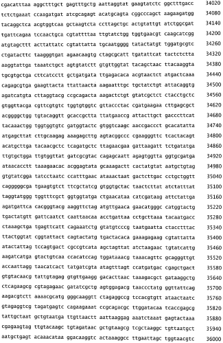 Бактериофаг, обладающий активностью против pseudomonas aeruginosa, белки бактериофага и способы их применения (патент 2580248)