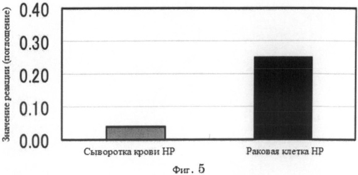 Способ диагностики рака поджелудочной железы (патент 2533219)