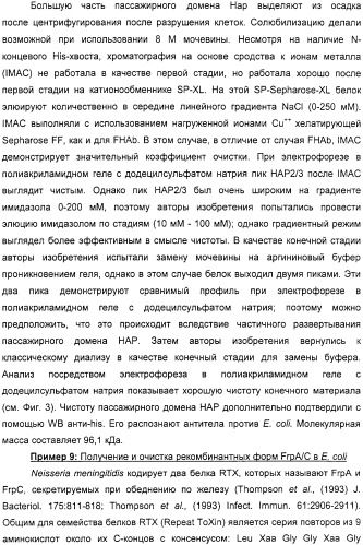 Нейссериальные вакцинные композиции, содержащие комбинацию антигенов (патент 2317106)