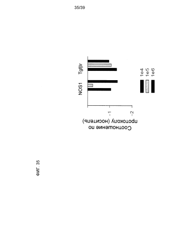 Клетки, производные от кардиальной ткани (патент 2583287)