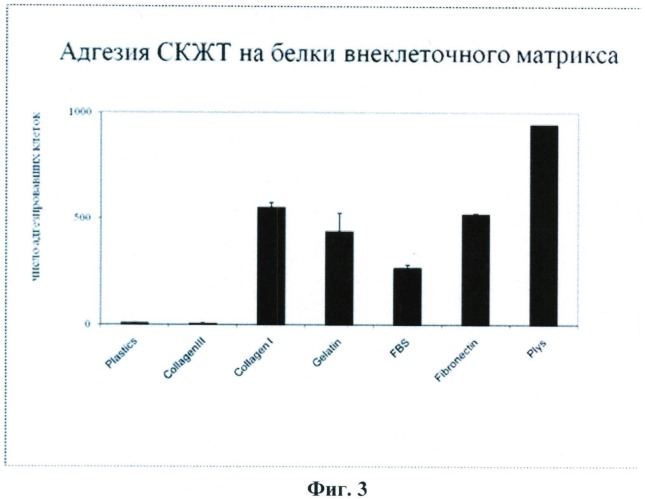 Способ повышения ангиогенной активности стромальных клеток жировой ткани (патент 2531502)