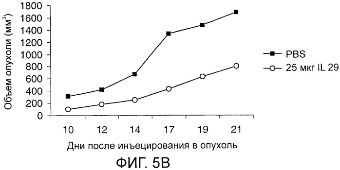 Применение il-28 и il-29 для лечения карциномы и аутоиммунных нарушений (патент 2389502)