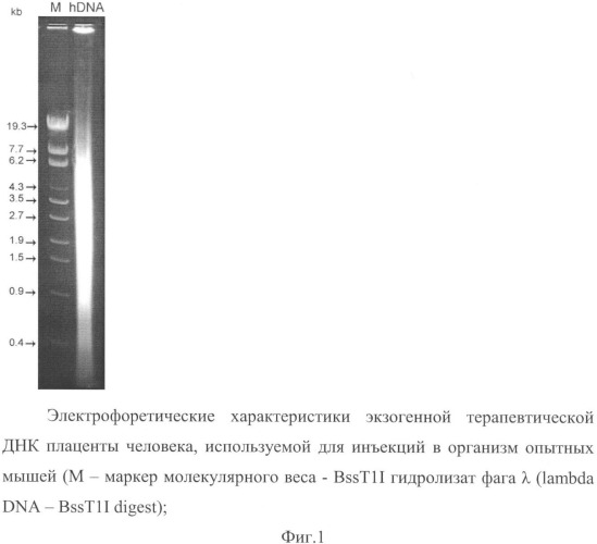 Способ лечения онкологических заболеваний (патент 2345792)