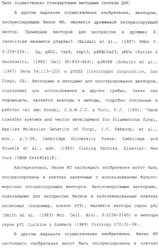 Гены corynebacterium glutamicum, кодирующие белки метаболических путей (патент 2306339)